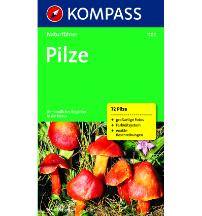 Pilze