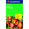 Pilze